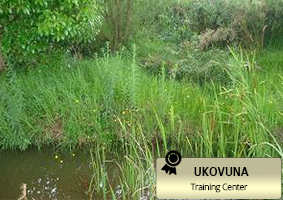 Ukuvuna Training Center 2.3