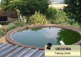 Natural method of grey water treatment towards creating a wetland.