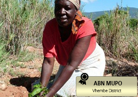 ABN Mupo 3.1